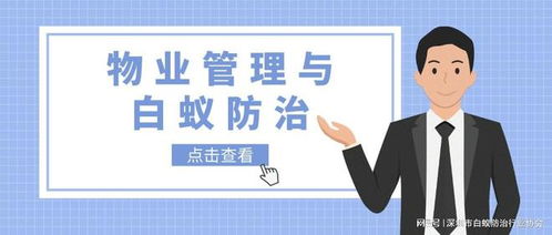 物业管理中的白蚁防治工作